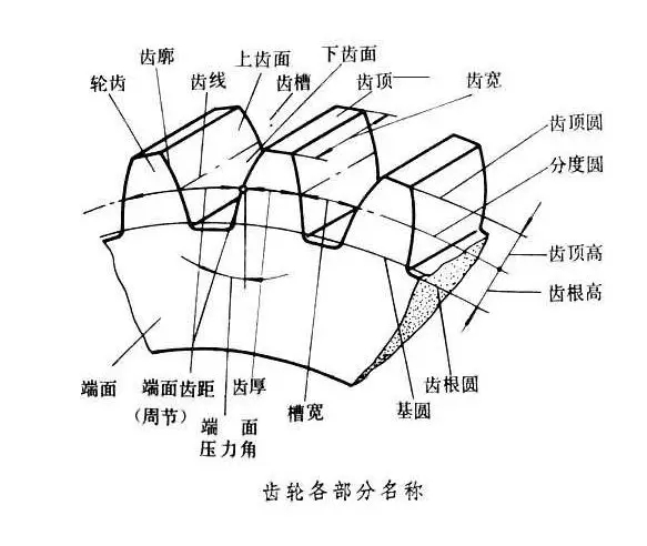 640.webp (26).jpg